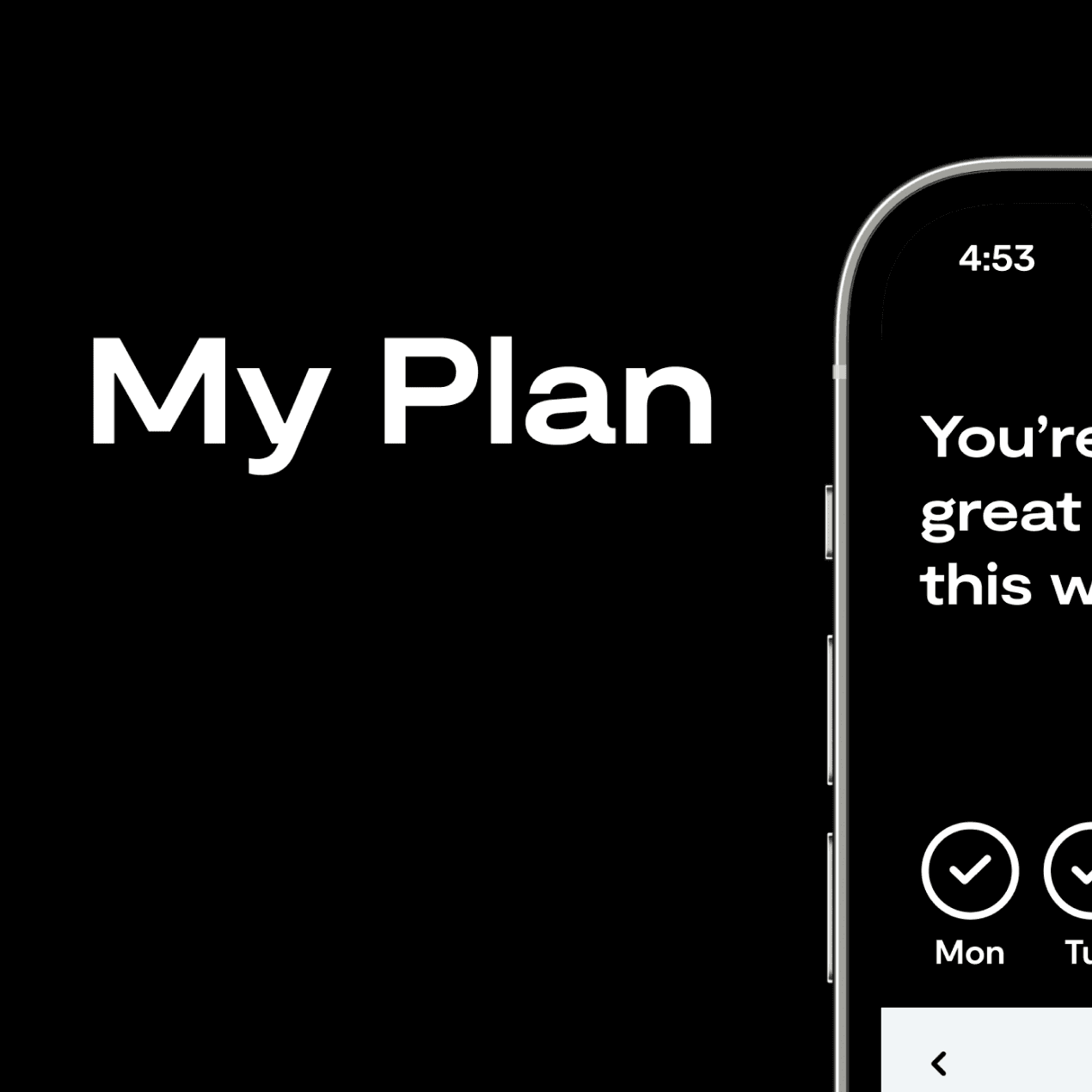 my_plan_excerpt_resize.png