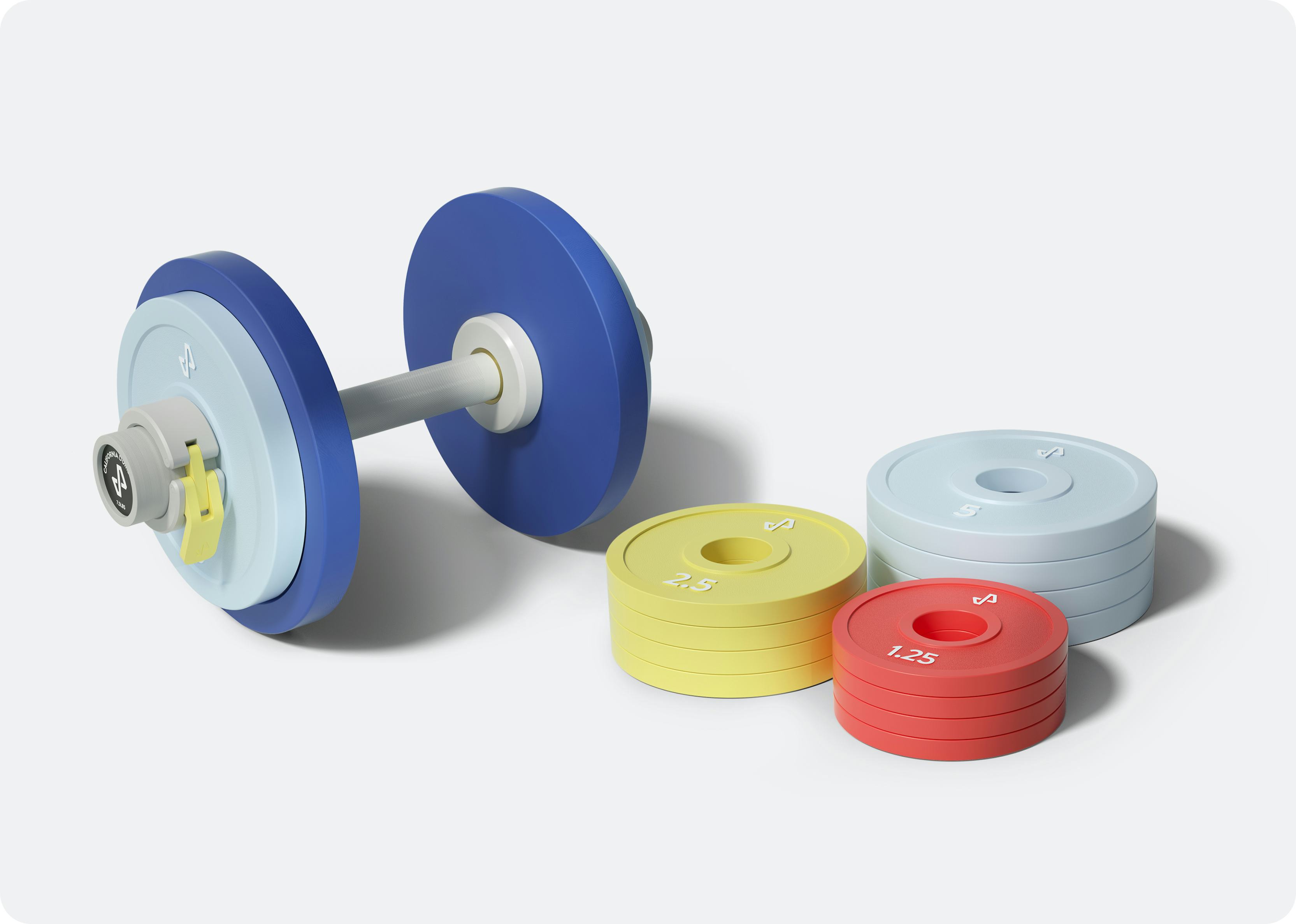 Loaded dumbbell with additional weight plates